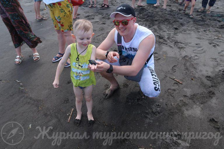 на пляжі з черепашкою