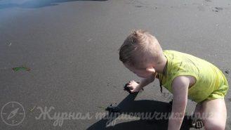 на пляжі з черепашкою