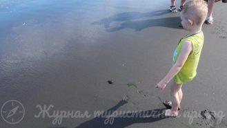 на пляжі з черепашкою