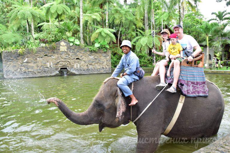 Балі, Elephant Safari Ride