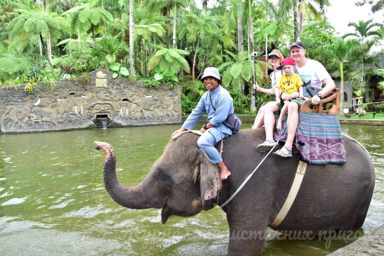 Elephant Safari Ride, Bali
