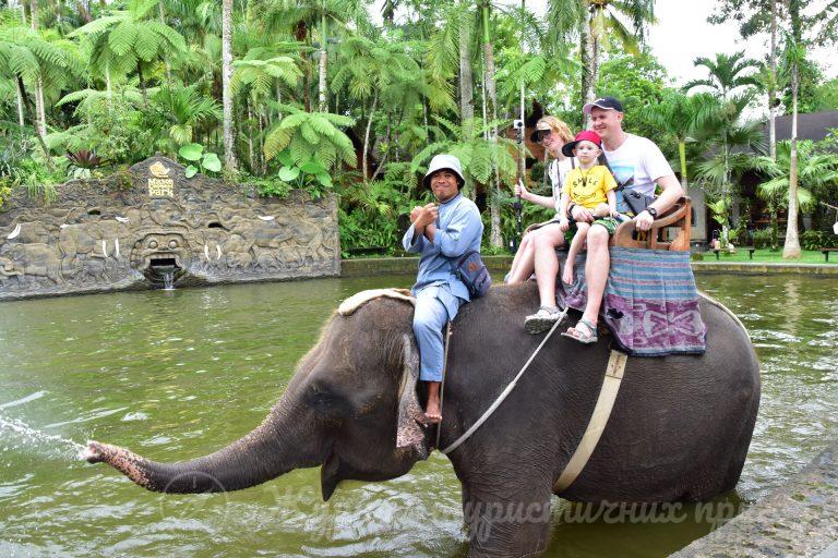 Балі, Elephant Safari Ride