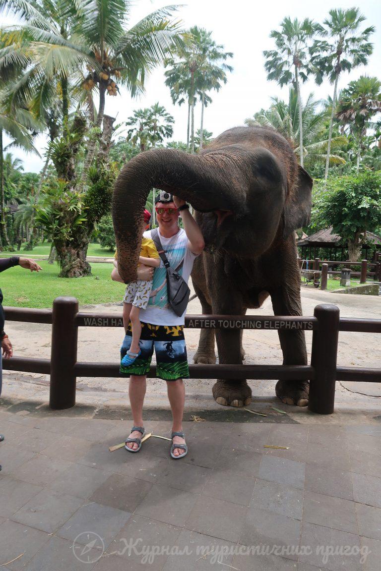 Park Elephant Safari Ride, Bali