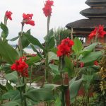 Bali Pura Ulun Danu Beratan Bedugul