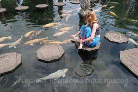Taman Tirtagangga