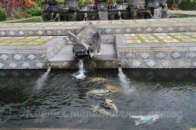 Taman Tirtagangga